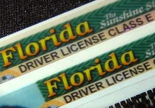 drivers-licenses