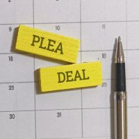 Plea5 Plea5